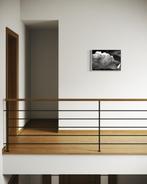 Agathe Toman - Cloud #4 - 4/15