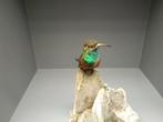 Colibri Support de corps entier pour taxidermie - Amazilia, Nieuw