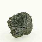 Zeldzame radiale waaier Schorl (zwart toermalijn), Verzamelen