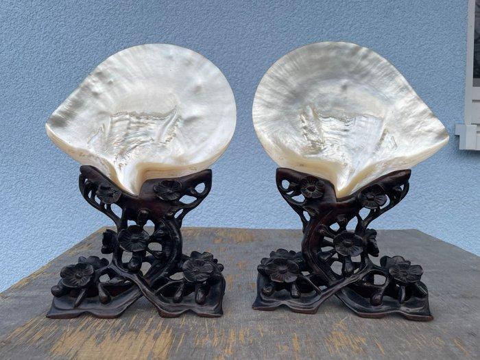 Bord (2) - Schelp, Hout, Antiek en Kunst, Antiek | Overige Antiek