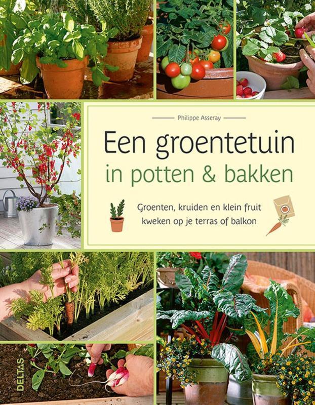 Een groentetuin in potten & bakken 9789044764284, Boeken, Hobby en Vrije tijd, Zo goed als nieuw, Verzenden