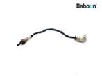 Capteur doxygène Harley-Davidson RA 1250 S Pan America, Verzenden, Nieuw
