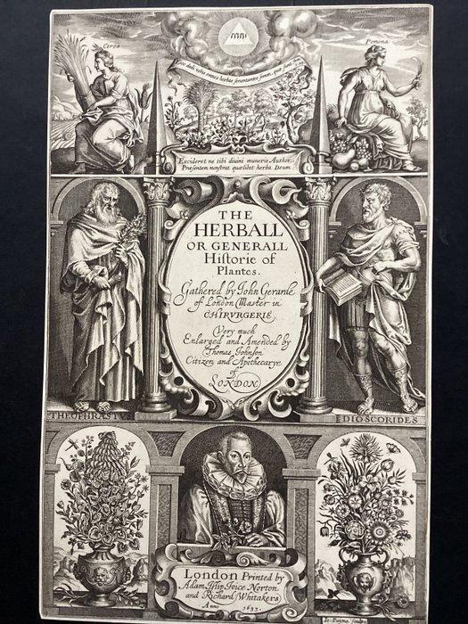 John Gerarde & John Payne - Frontispiece to The herball or, Antiek en Kunst, Antiek | Boeken en Manuscripten