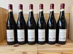 2019 Brunelli Amarone - Amarone della Valpolicella DOCG - 6, Collections