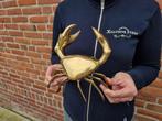 Beeld, Bronze Polished Crab Indonesia - 16 cm - Brons, Antiek en Kunst