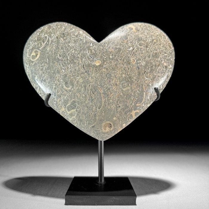 Decoratief ornament (2) - NO RESERVE PRICE - Wonderful Pair, Antiek en Kunst, Kunst | Designobjecten