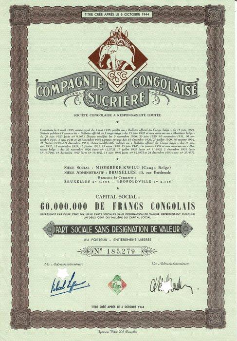 Belgisch-Congo. - Part Sociale - 1953 - Compagnie Congolaise, Timbres & Monnaies, Monnaies | Pays-Bas