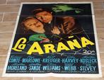 Richard Conte - LA ARAÑA (The Spider) 1945 US 1-Sheet, Verzamelen, Nieuw