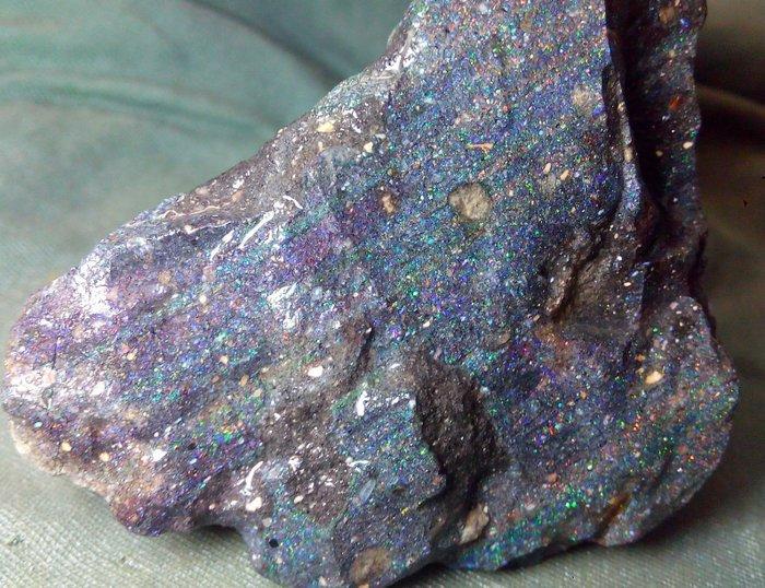 925 cts - Museum - GROOT Honduras Black Opal Rough -, Collections, Minéraux & Fossiles