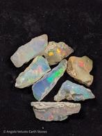 59,05 ct - 7x natuurlijke edele ruwe Welo-Opalen, groot, Collections
