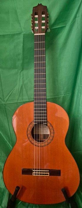 L. Aróstegui Granados - L. Aróstegui Granados - - Klassieke, Muziek en Instrumenten, Snaarinstrumenten | Gitaren | Akoestisch