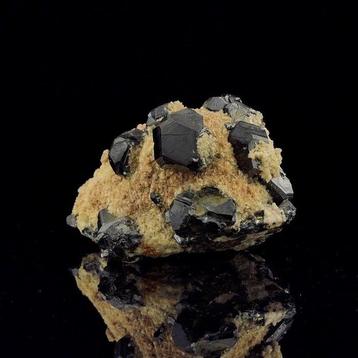 Sphalerite sur dolomite Mine de Trepa Stan Trg, Kosovo -