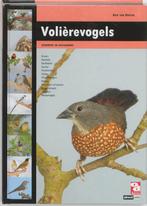 Volièrevogels 9789058216205 Adri van Kooten, Verzenden, Gelezen, Adri van Kooten