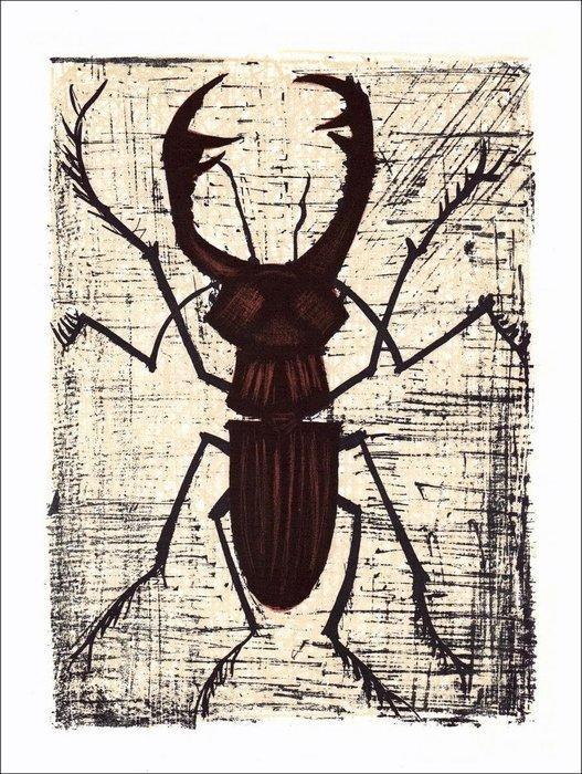 Bernard Buffet (1928-1999), daprès - Série sur les Insectes, Antiek en Kunst, Antiek | Overige Antiek