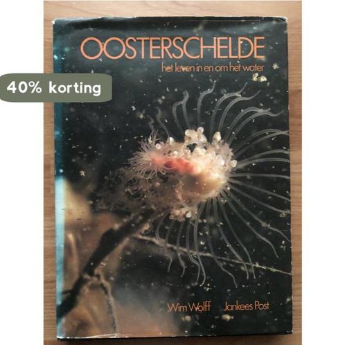 Oosterschelde 9789021823966 Phida Wolff, Boeken, Overige Boeken, Gelezen, Verzenden
