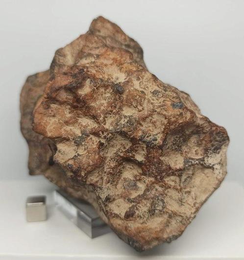 Canyon Diablo (États-Unis, il y a 50 000 ans). Patine, Verzamelen, Mineralen en Fossielen