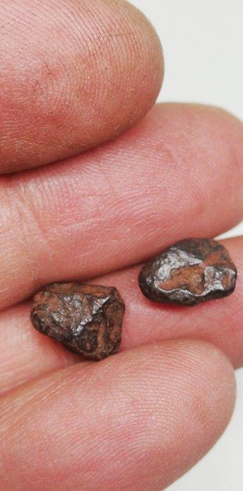 Gibeon-meteoriet. en twee complete nuggets Verzameldoos, Verzamelen, Mineralen en Fossielen