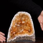 Citrien - Madeirakwarts Drusa - Kristallen - Hoogte: 250 mm