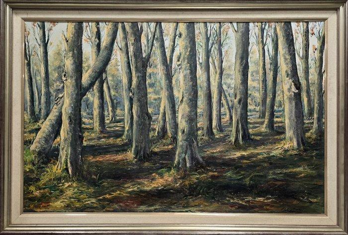 Poch Barber (1941) - El corazón del bosque, Antiek en Kunst, Kunst | Schilderijen | Klassiek