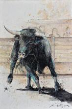 Fernando Arribillaga (1984) - Bull