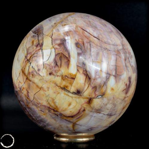 Natuurlijke versteende houten bal van Madagaskar- 658.58 g, Verzamelen, Mineralen en Fossielen