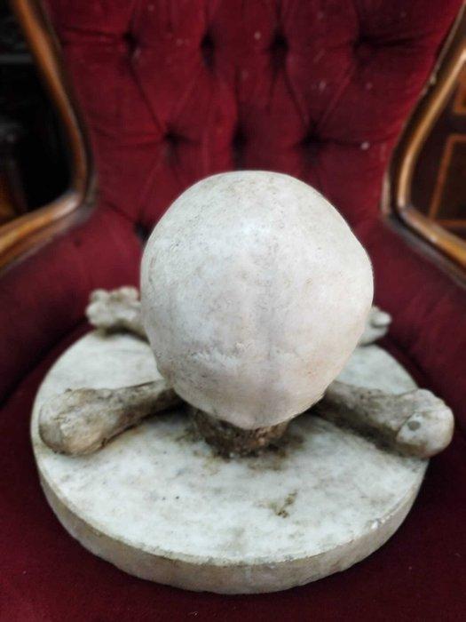 Sculpture, Teschio - 35 cm - Marbre, Antiquités & Art, Curiosités & Brocante