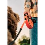 Flexi leash xtreme s, 5m, strap, up to 20 kg - kerbl, Nieuw