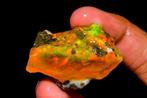 Opaal En bruto de fuego multicolor — heel zeldzaam! 45,5Ct-