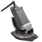 vidaXL Bankschroef met 2 assen kantelbaar 100 mm, Doe-het-zelf en Bouw, Gereedschap | Handgereedschap, Verzenden, Nieuw