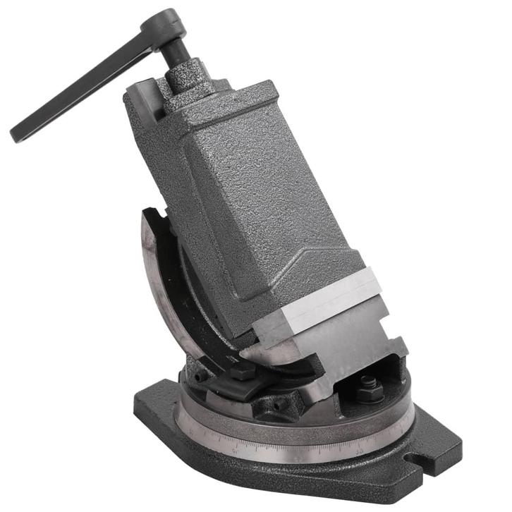 vidaXL Bankschroef met 2 assen kantelbaar 100 mm, Doe-het-zelf en Bouw, Gereedschap | Handgereedschap, Nieuw, Verzenden
