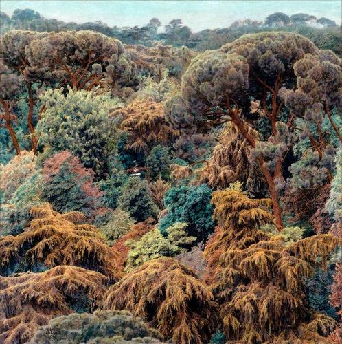 Carlos Arriaga - Próxima parada, la naturaleza, Antiek en Kunst, Kunst | Schilderijen | Modern