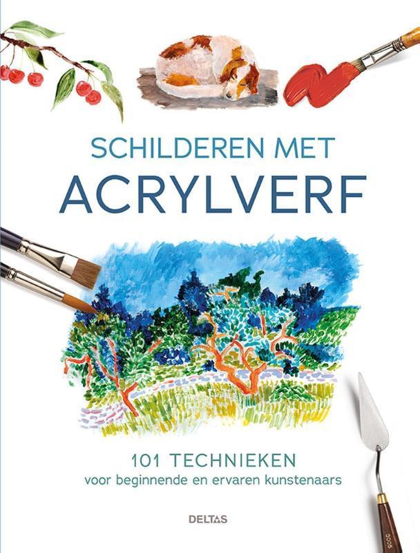 Schilderen met acrylverf 9789044768251 David Sanmiguel, Boeken, Hobby en Vrije tijd, Gelezen, Verzenden