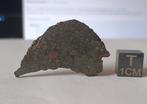 NWA 12590 - meteoriet chondriet koolstofrijke CVred3 -