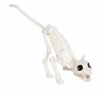 Nep Dieren Skelet Kat 48cm, Verzenden