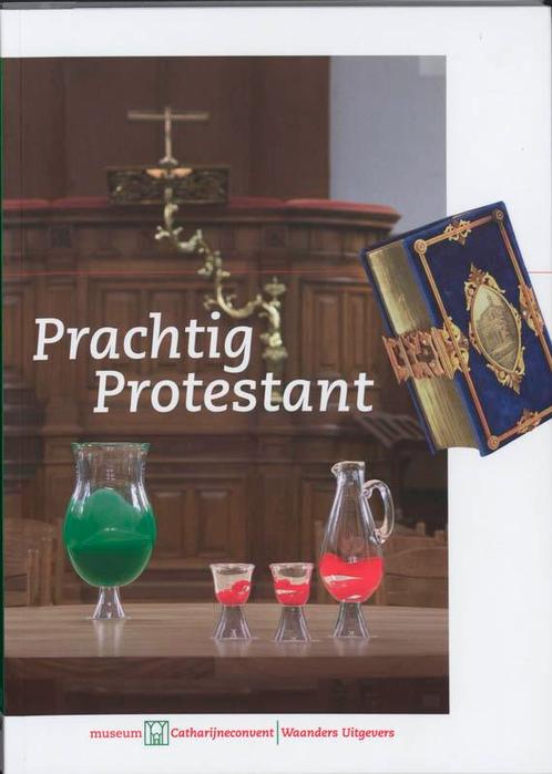 Prachtig Protestant 9789040085215, Boeken, Kunst en Cultuur | Beeldend, Gelezen, Verzenden