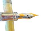 Visconti - Van Gogh - Vulpen, Nieuw