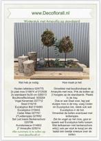 Winterstuk met amaryllis op standaard stel zelf je pakket, Nieuw