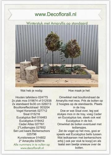 Winterstuk met amaryllis op standaard stel zelf je pakket beschikbaar voor biedingen