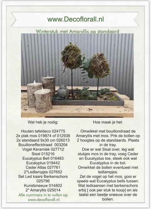 Winterstuk met amaryllis op standaard stel zelf je pakket, Huis en Inrichting, Woonaccessoires | Kunstplanten en Kunstbloemen