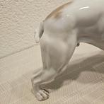 Rosenthal - Figurine - Engelse Bulldog - Porcelaine