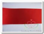 Rood lint 45 mm zwart opdruk +/- 50 cm. - eigen tekst, Nieuw