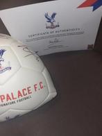 Crystal Palace - Championnat dAngleterre de Football - 2025, Nieuw