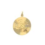 Gouden sterrenbeeld hanger; Kreeft (geelgoud, astrologie), Handtassen en Accessoires, Bedels, Ophalen of Verzenden, Gebruikt, Goud