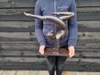 Beeld, XL Bronze Lady - Yoga - 37 cm - Brons - 2026