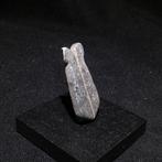 Égypte ancienne Faience Amulette à double plumes dautruche., Verzamelen