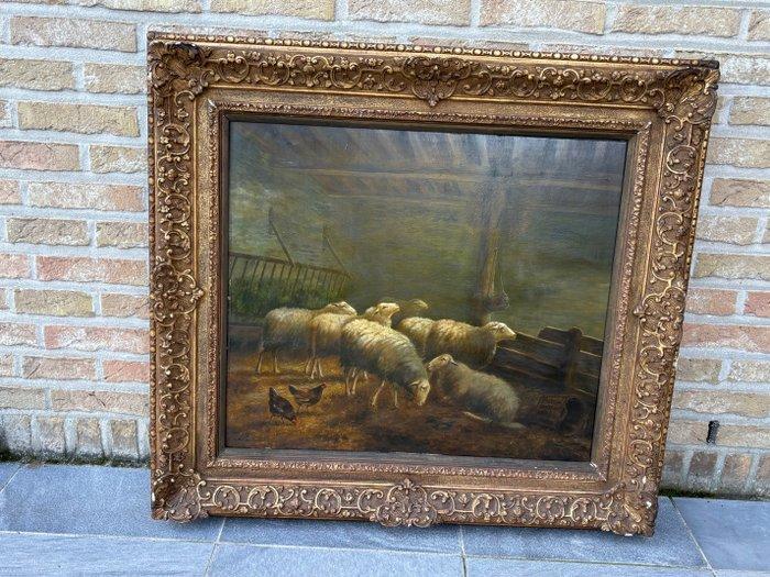 Arthur De Waerhert (1881-1944) - Schapen in stal, Antiek en Kunst, Kunst | Schilderijen | Klassiek