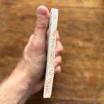 Tegel - Zeldzame polychrome vogel op een tak op 17e eeuwse, Antiek en Kunst