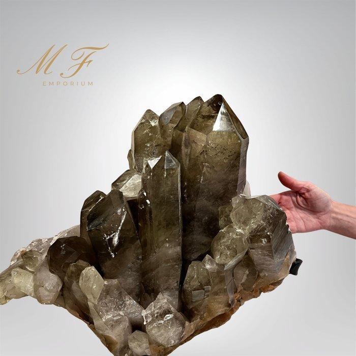 Premium - natuurlijk gerookt kwarts - zeer grote maat, Verzamelen, Mineralen en Fossielen