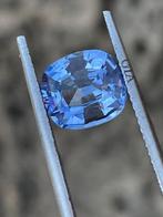 1 pcs Blauw Saffier - 2.30 ct - Gemological Institute of, Nieuw