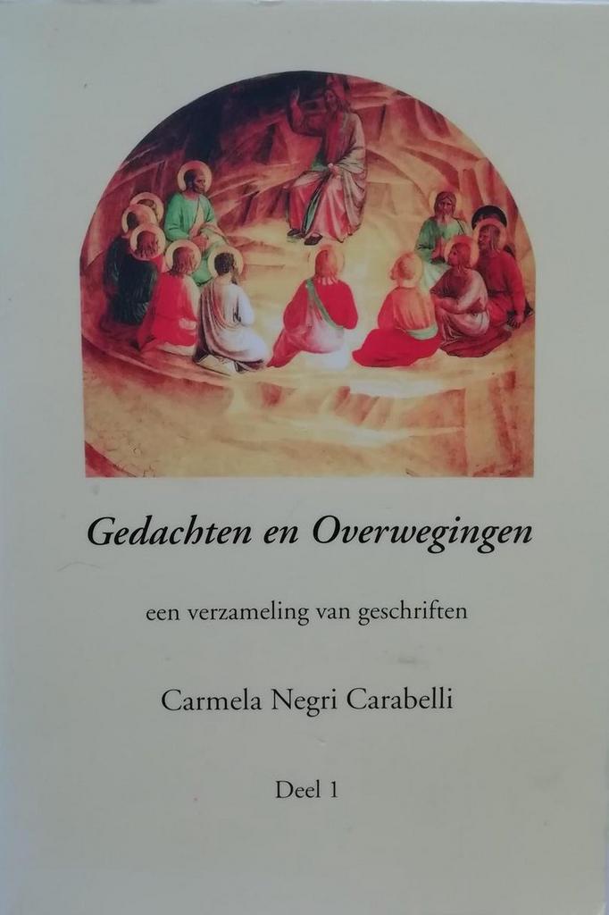 Gedachten en overwegingen 9789080484115 C. Negri Carabelli, Boeken, Godsdienst en Theologie, Gelezen, Verzenden